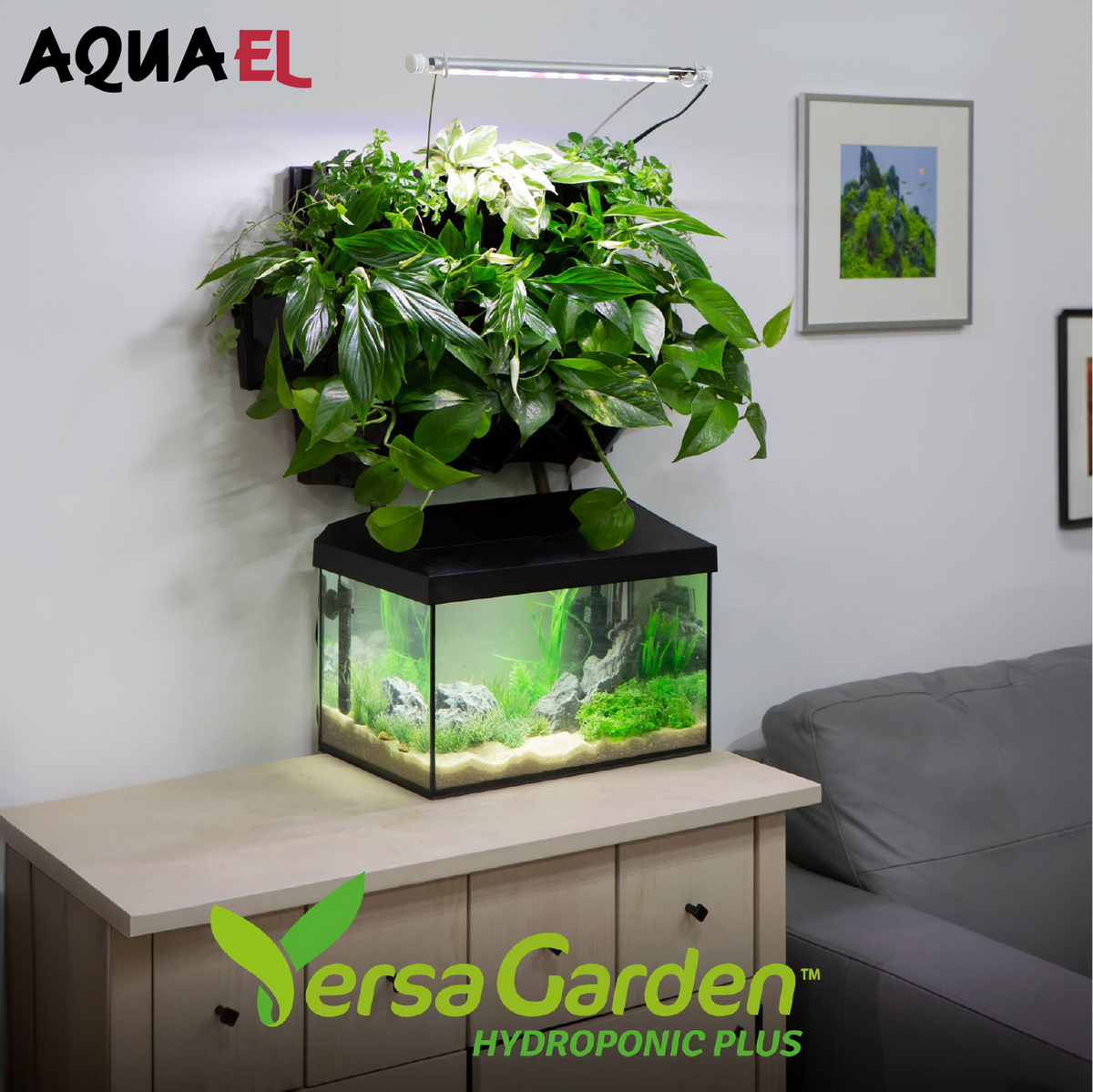 hydroponic plants for aquarium AquaEl Versa Garden Hydroponic Plus