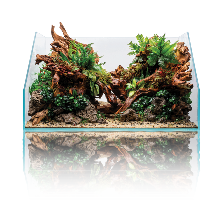 UNS planted aquarium display