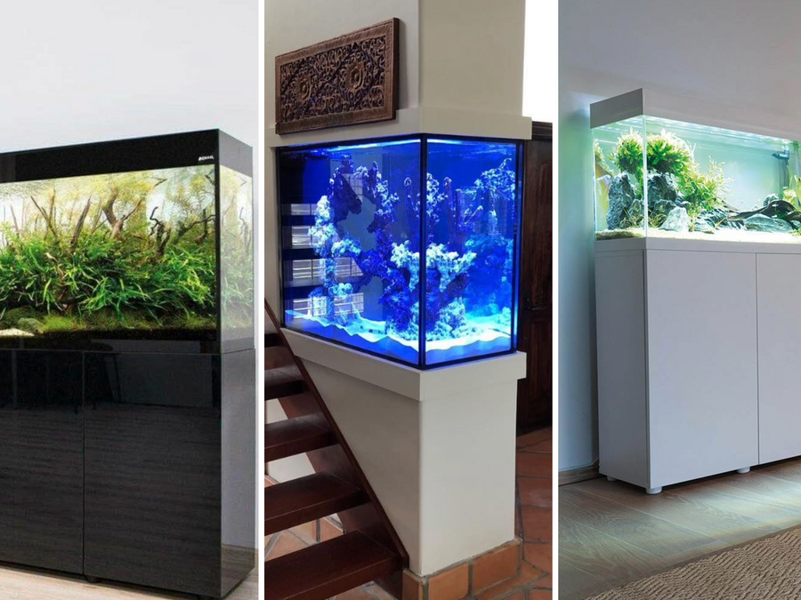 Rimless and rimmed aquariums, all-in-one kits and stands