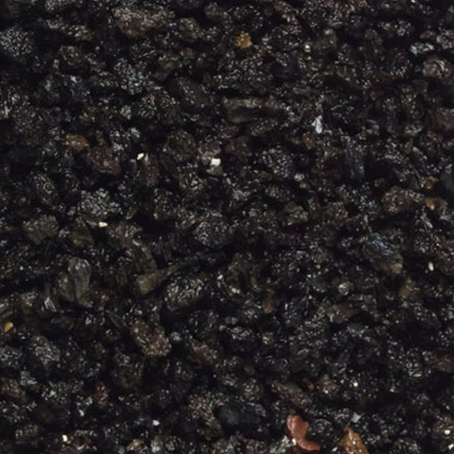 African Cichlid Zack Black Aquarium Sand Nature