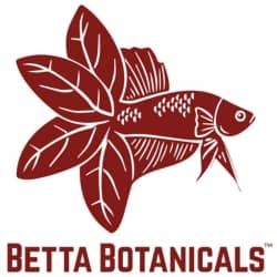 Betta Botanicals Preparation Instructions