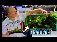 Fixing an Algae-Filled Planted Tank Part 3