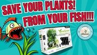 Aquael Versa Garden Hydroponics Unboxing and Setup