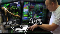 UNS Foresta 35E Paludarium Update with New Plants