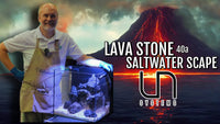 Lava Stone Reef Tank Setup Beginner's Guide Part 1