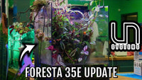 UNS Foresta 35E Paludarium Update