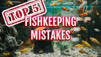 Top 5 Fish Buying Mistakes to Avoid