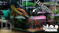 Easy Low Tech Shallow Planted Tank with Myst