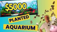 UNS 120p Aquascaping Plant Showcase Tank