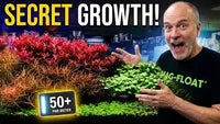 The Planted Aquarium Blueprint — Fertilizer, CO2 & Lighting in the First 90 Days