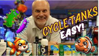 The Fishless Cycle — The Most Important Step Before Adding Fish