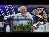 UNS 45E Paludarium with Strata Pro Aquascape Insert