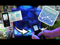 Kessil Spectral X Controller Setup for A160 Tuna Blue