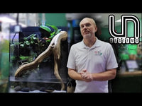 UNS Foresta 35e Paludarium Live Workshop Scape