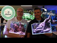 Jeff Miotke Speed Aquascaping Two Nano Tanks