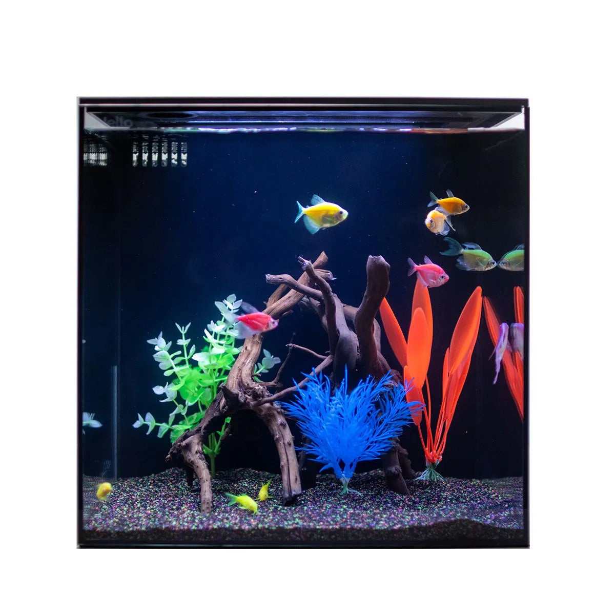 dfo fish accessories vs great glory HelloReef Aquarium Stand, 15-gal, Black