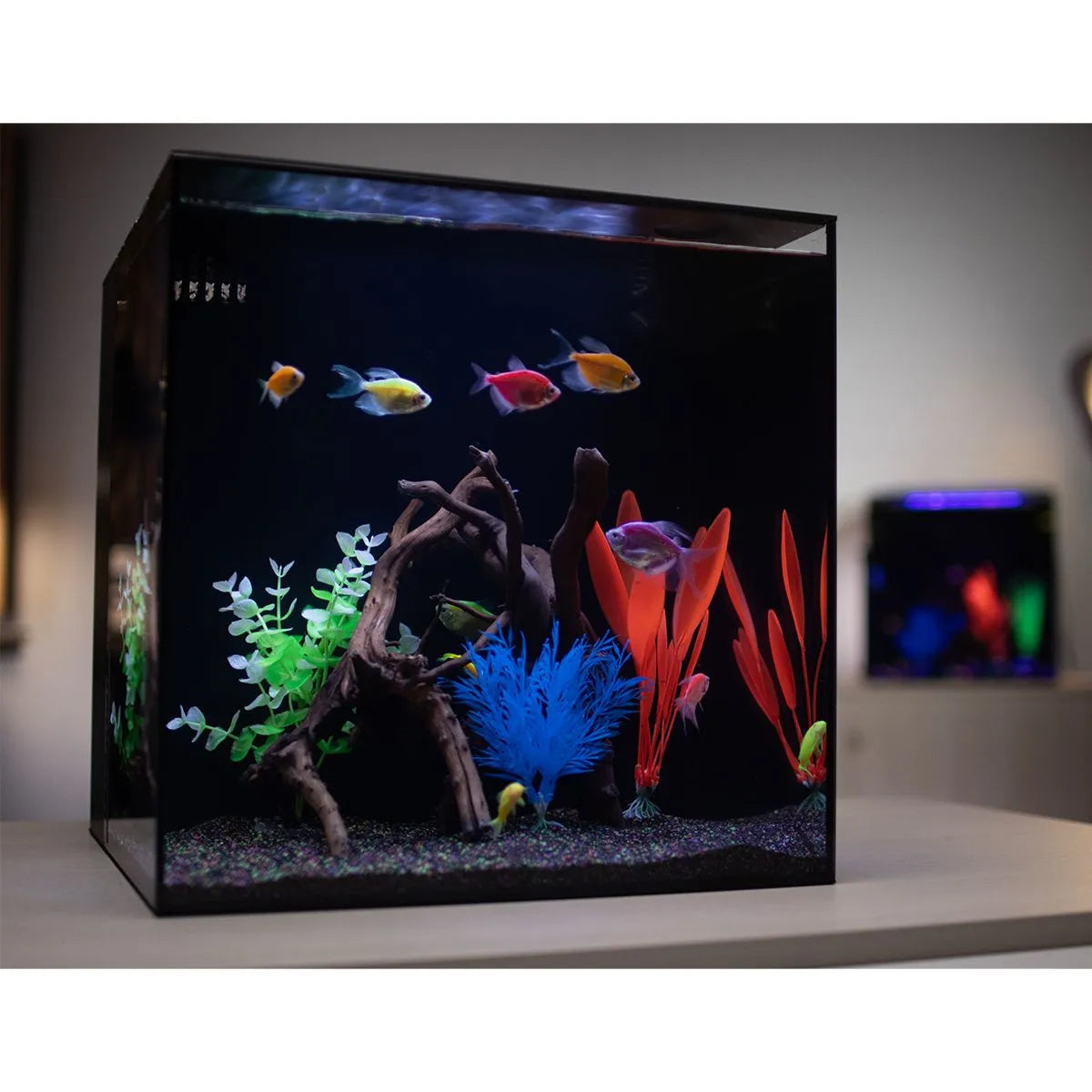 dfo fish accessories vs great glory HelloReef Aquarium Stand, 15-gal, Black