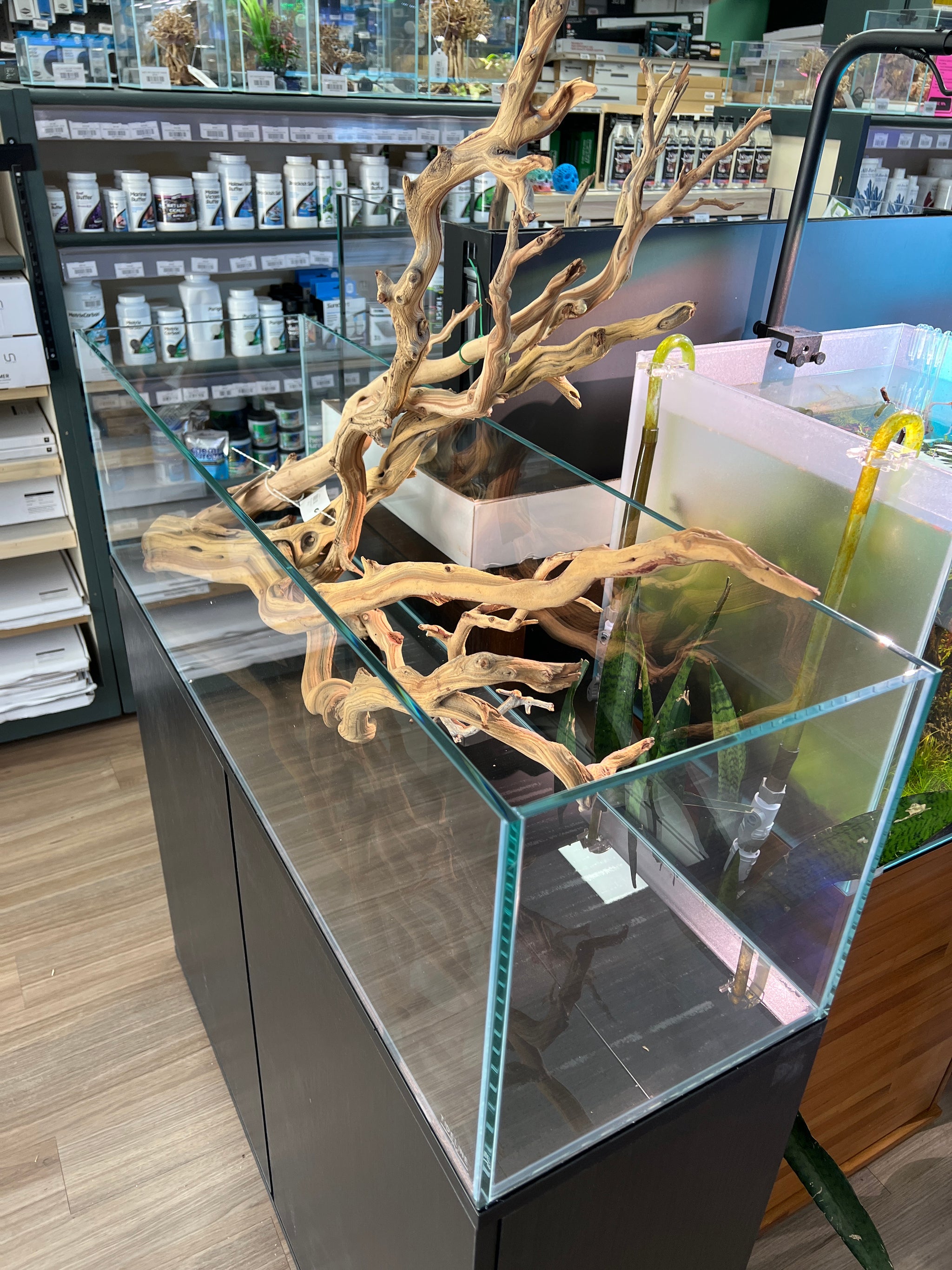 Aquarium Contemporary Shelving Unit Studio Bookshelf Aquarium 38.7G