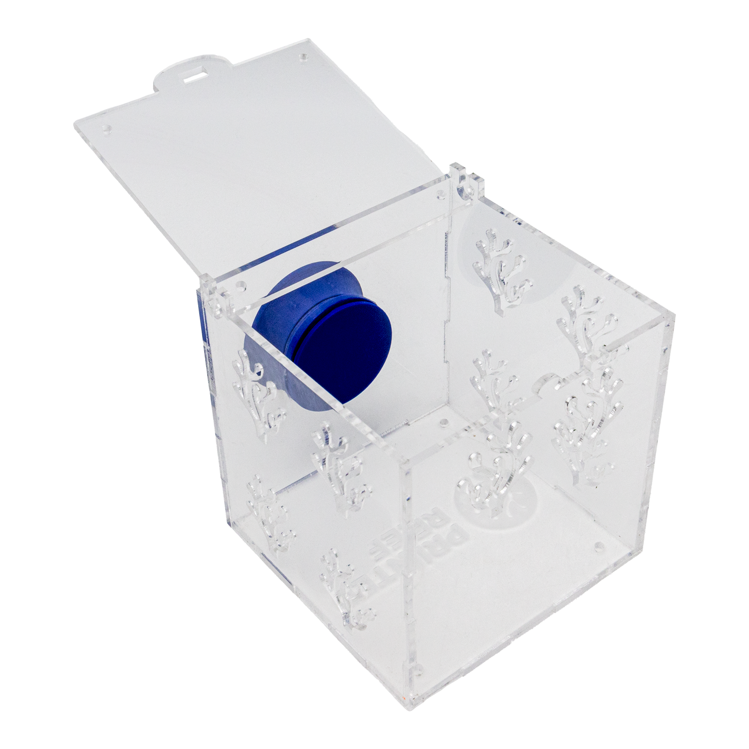 Magnetic Acrylic Anemone & Mushroom Box Magnetic Acrylic Anemone & Mushroom Box