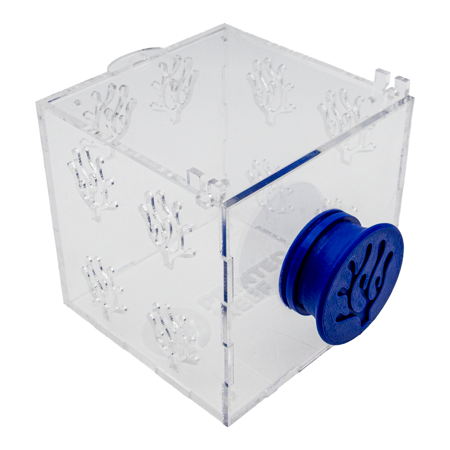 Magnetic Acrylic Anemone & Mushroom Box Magnetic Acrylic Anemone & Mushroom Box