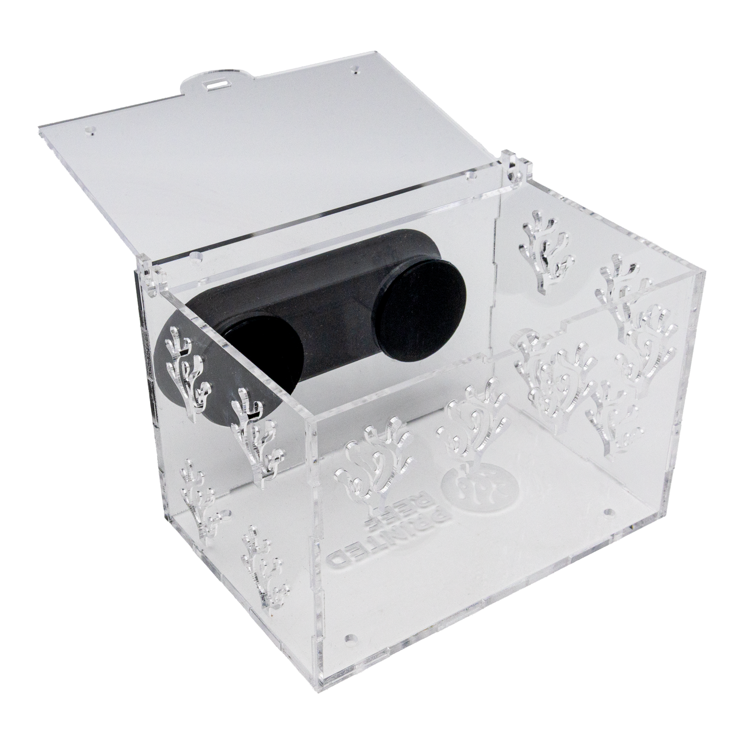 Magnetic Acrylic Anemone & Mushroom Box Magnetic Acrylic Anemone & Mushroom Box
