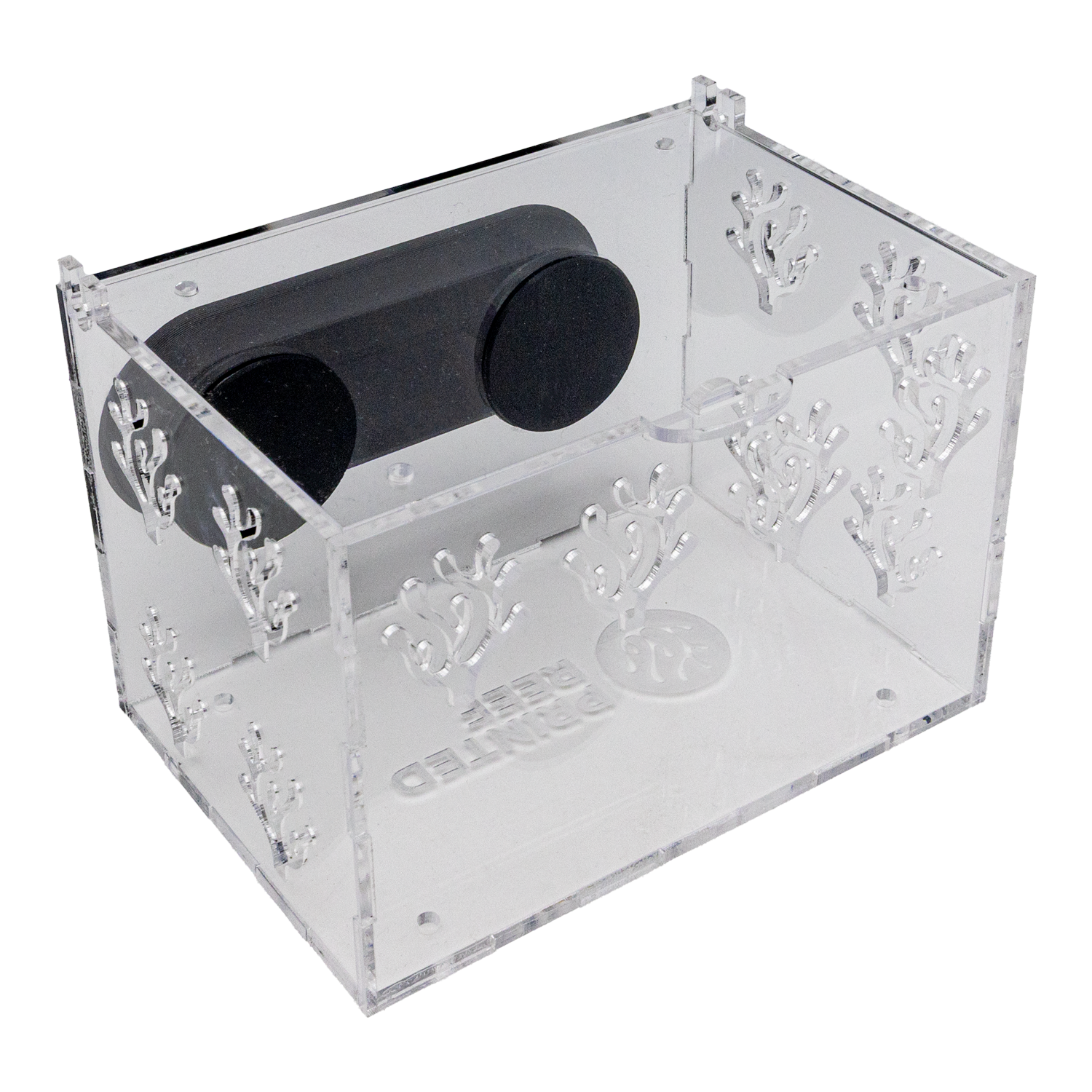 Magnetic Acrylic Anemone & Mushroom Box Magnetic Acrylic Anemone & Mushroom Box