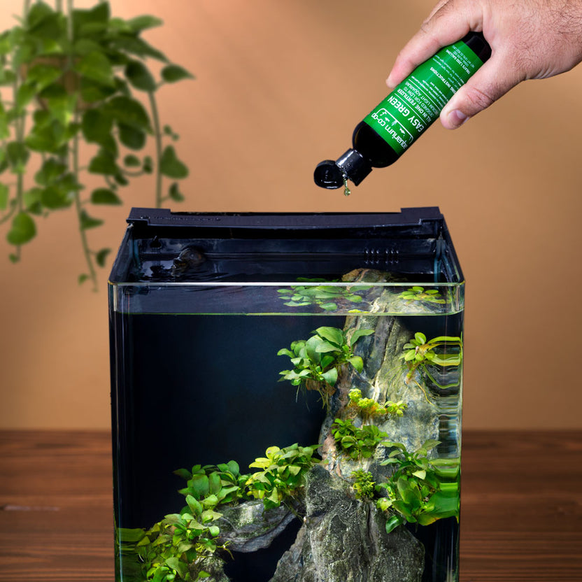 diy aquarium plant fertilizer Aquarium Co-Op Easy Green All-in-One Fertilizer 120ml