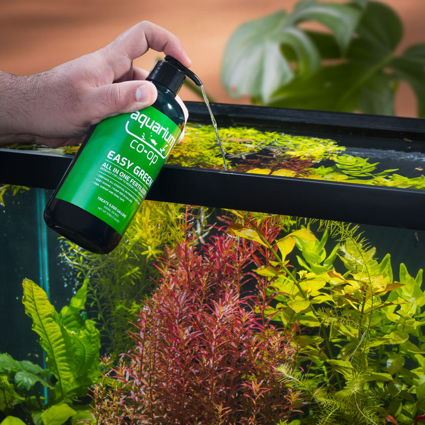 dry fertilizer for aquarium plants Aquarium Co-Op Easy Green All-in-One Fertilizer 120ml