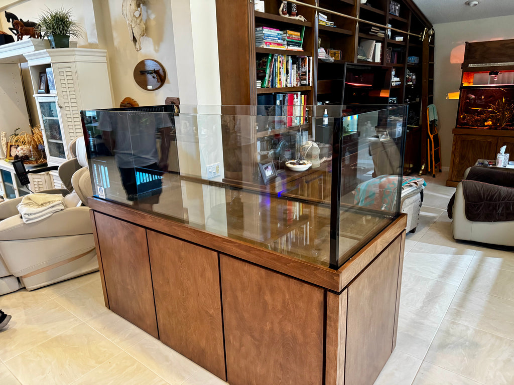 Planted Luxury Exotic Aquascapes – Custom Rimless Aquariums & Smart Au ...