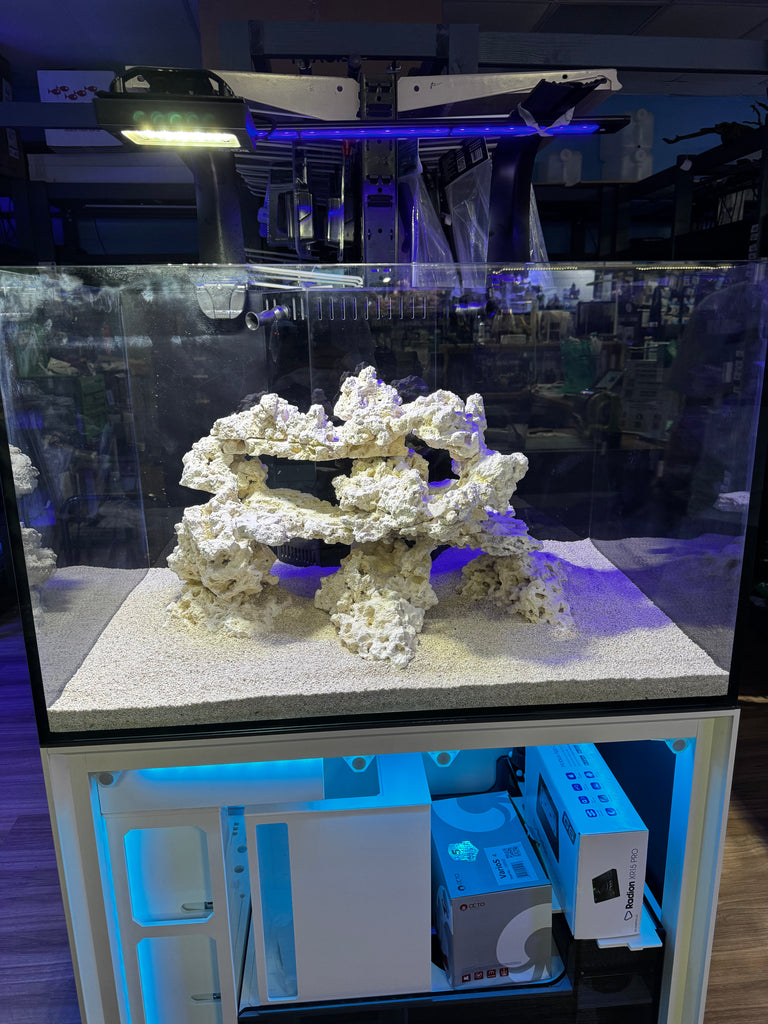 Planted Luxury Exotic Aquascapes – Custom Rimless Aquariums & Smart Au ...