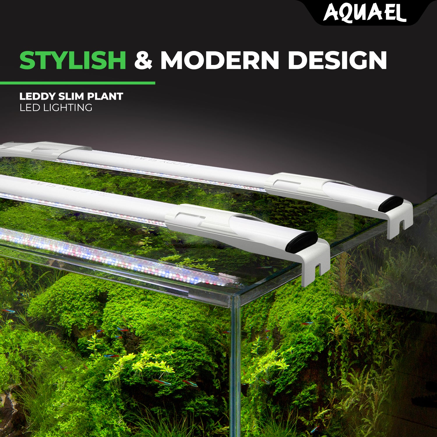 AQUAEL LEDDY SLIM – Nature Aquariums USA