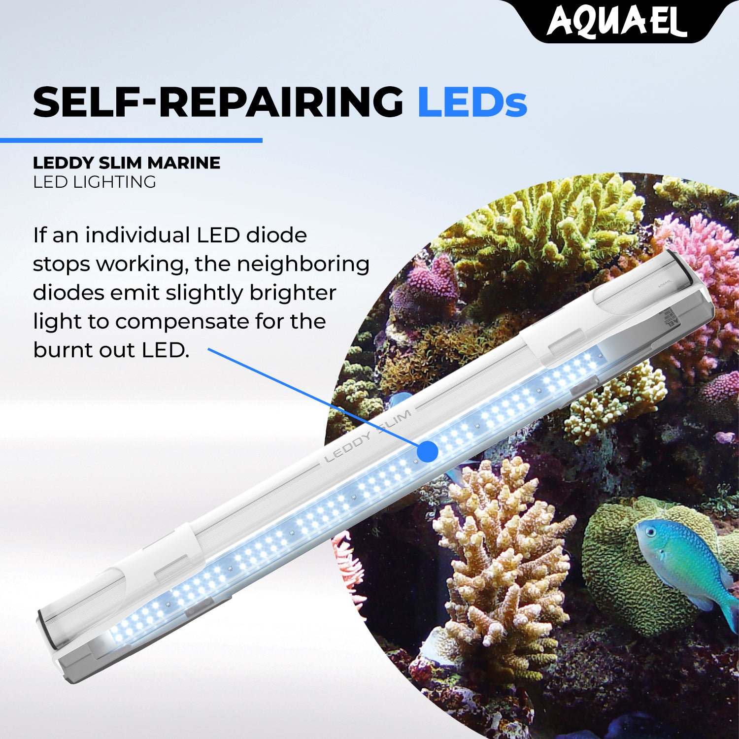LeddySlimmarine02_2048x.jpg?v=