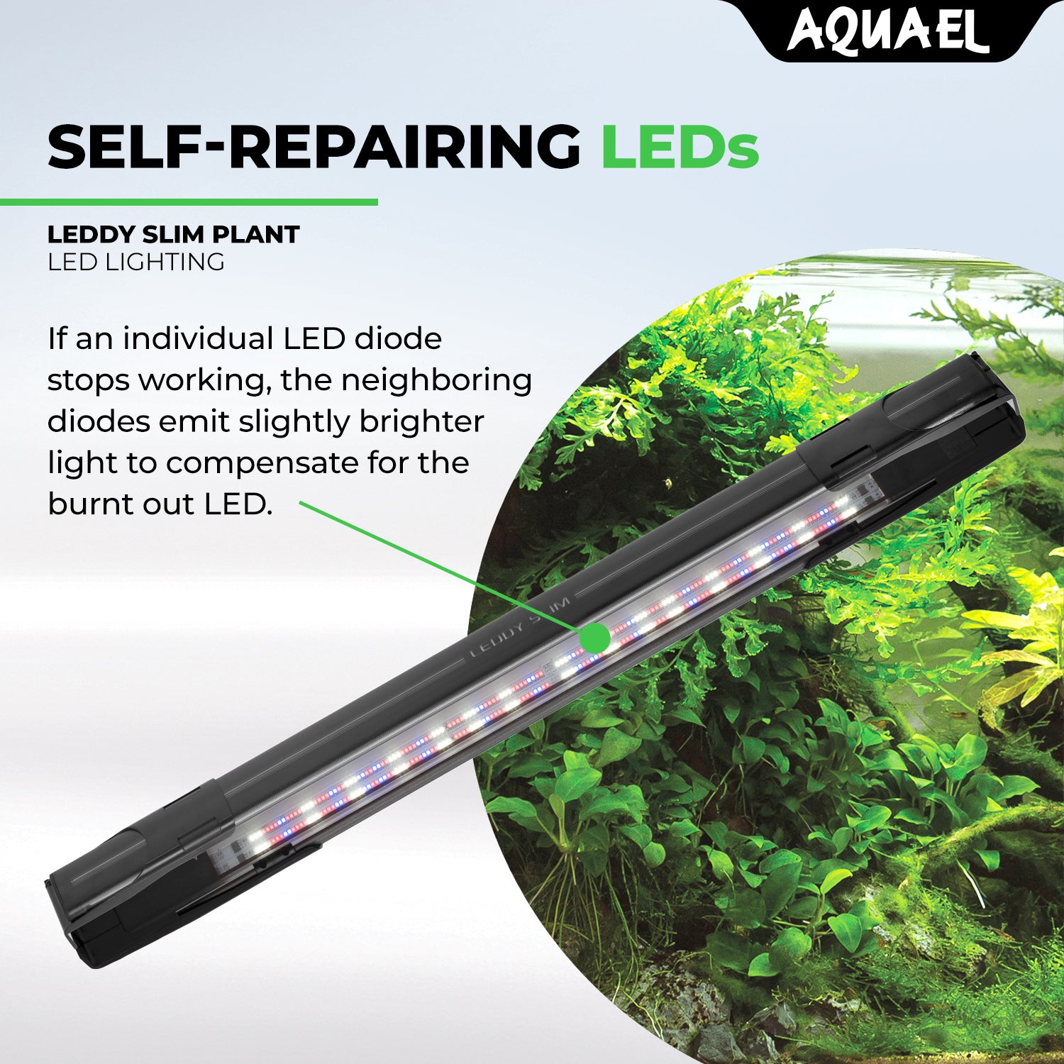 AQUAEL LEDDY SLIM – Nature Aquariums USA