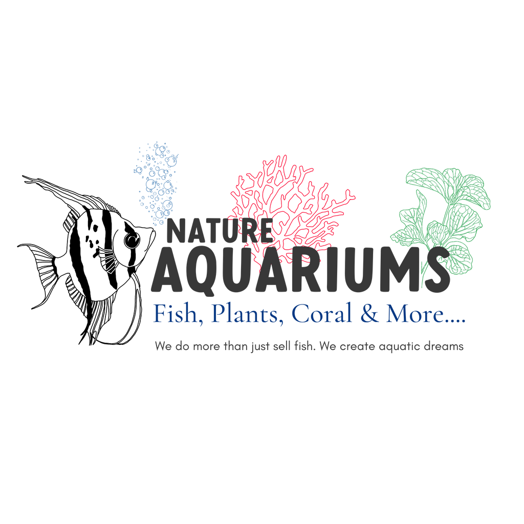 Nature Aquariums Located in Greater Fort Lauderdale, Florida. Providing Tropical Fish, Plants, Corals, Inverts and full range of supplies for a complete Aquarium Hobby Experience.