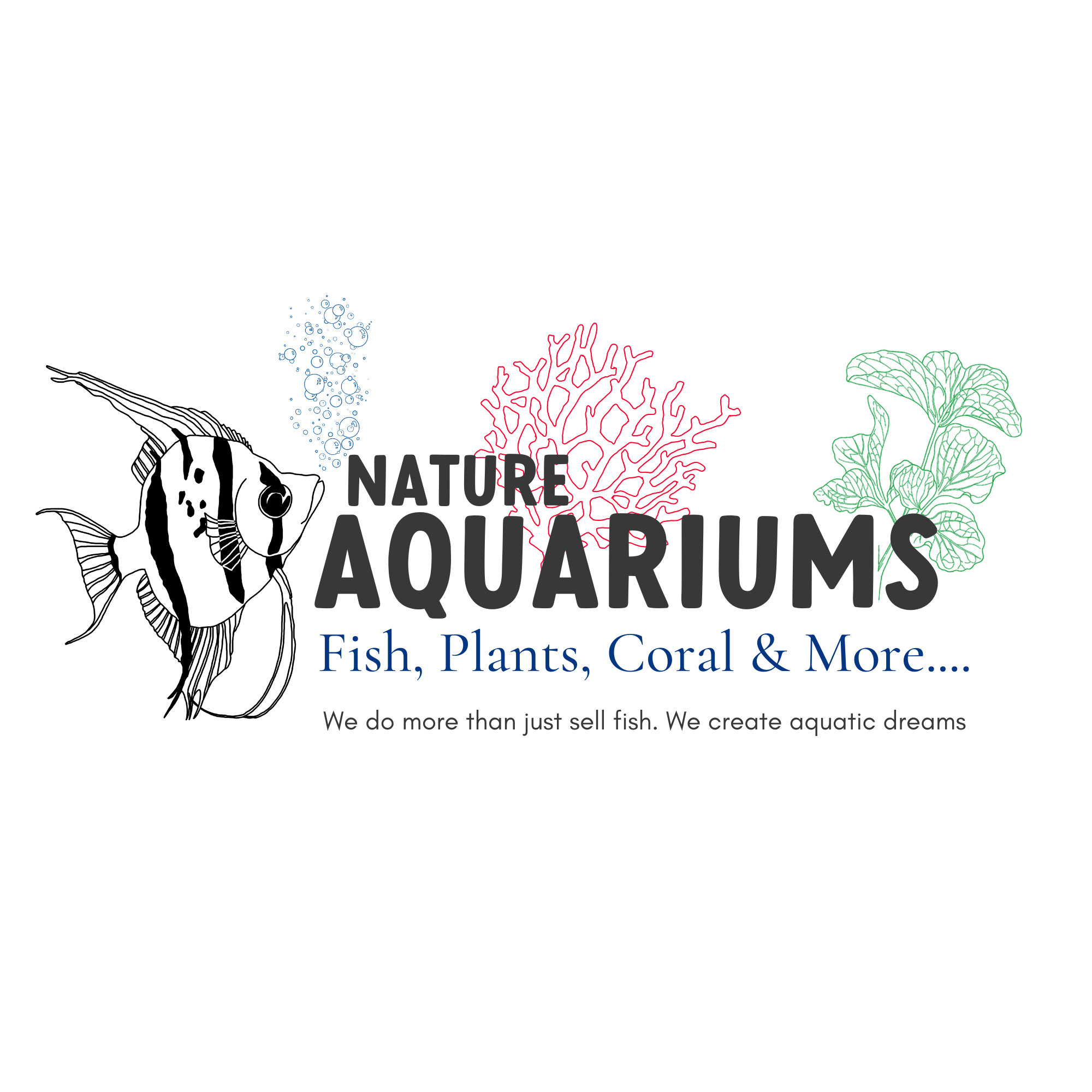 Freshwater Fish Food Single Pack Nature Aquariums USA