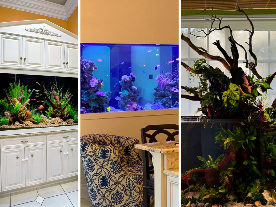 Freshwater, planted, reef and fish-only saltwater aquariums