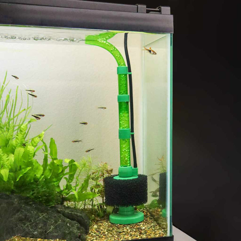 fish filter accessories Aquarium Co-Op Pre Sponge tiny fry/shrimp/snails can still get through in some cases) An intake sponge also provides valuable surface area to grow beneficial bacteria Aquarium Co-Op Easy Flow Sponge