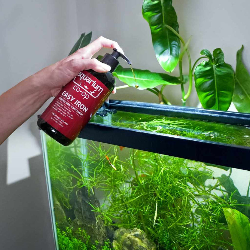 iron aquarium plant fertilizer Aquarium Co-Op Easy Iron