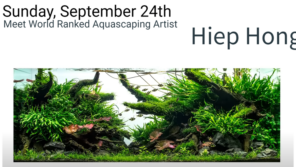 Meet Hiep Hong at a live Aquascaping event at Nature Aquariums on September 24th