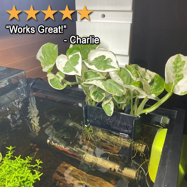 pothos plant in aquarium filter Poth-O-Carry Plus: Rail Edition