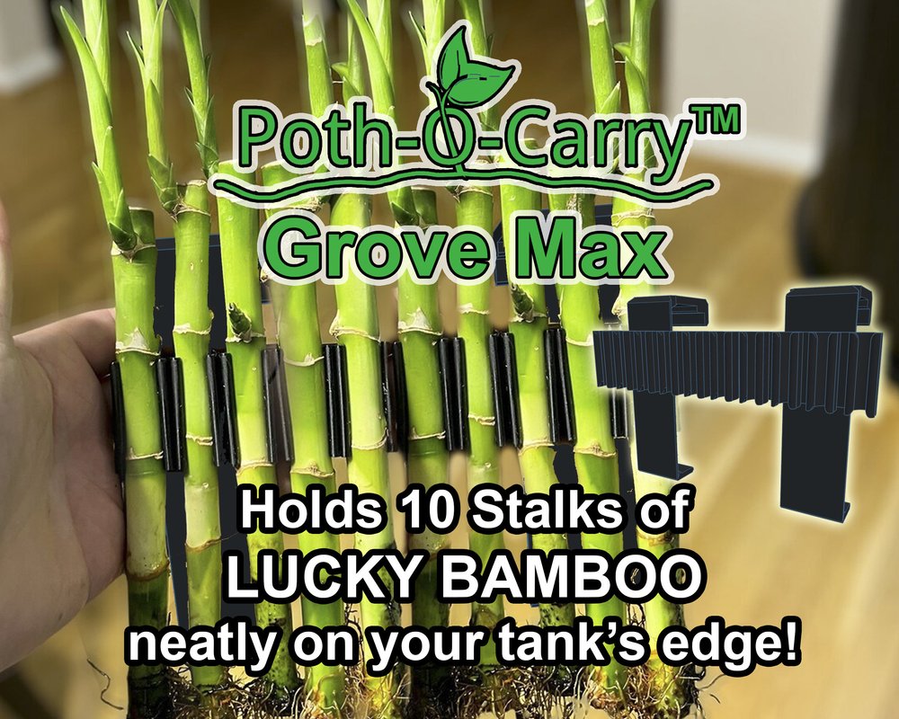poth-o-carry Potho-O-Carry Grove Max – Nature Aquariums USA