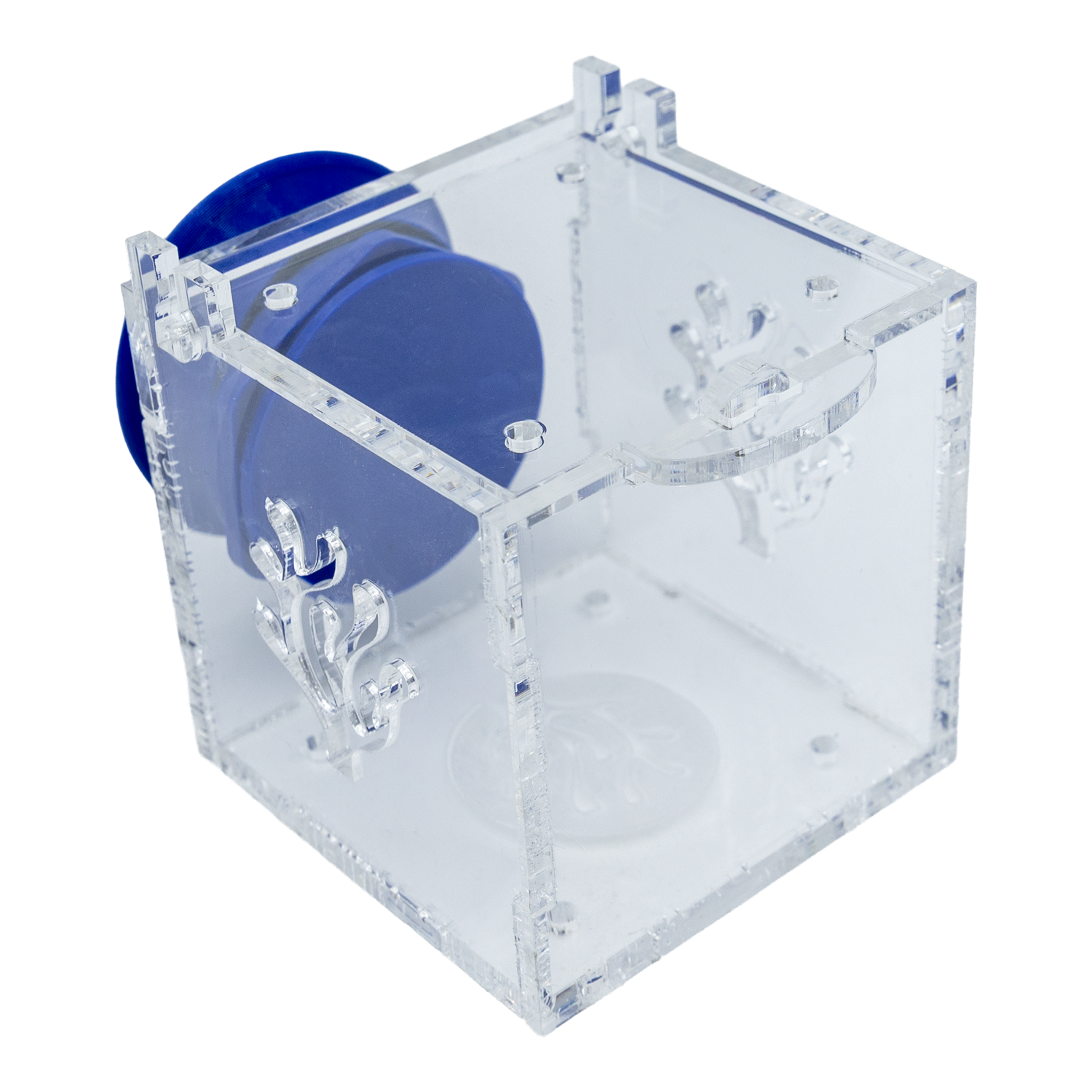 Magnetic Acrylic Anemone & Mushroom Box Magnetic Acrylic Anemone & Mushroom Box