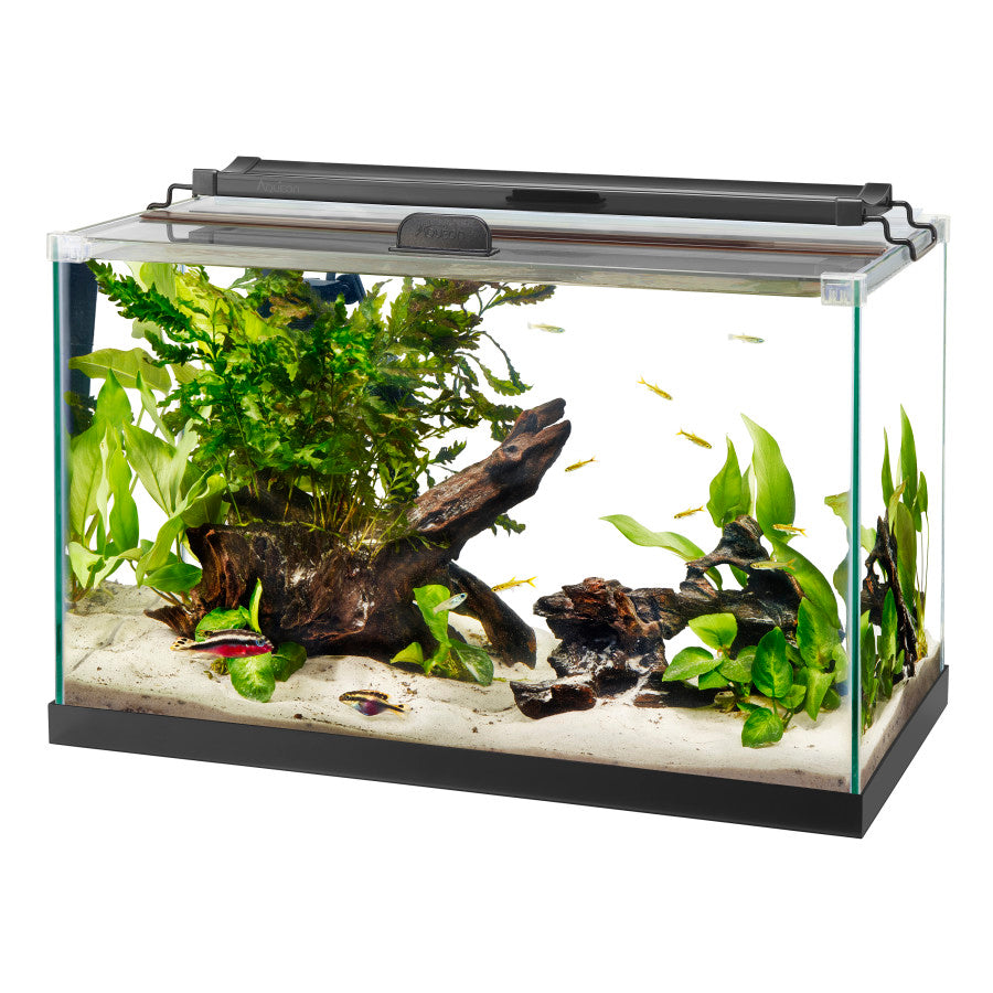 Aqueon Rimless Rectangle Aquarium 10 Gallon – Nature Aquariums USA Aqueon Rimless Rectangle Aquarium 10 Gallon – Nature Aquariums USA