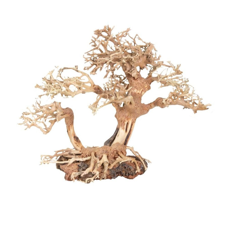 bonsai driftwood tree Zoo Med Dragon Bonsai Tree Aquarium Decoration