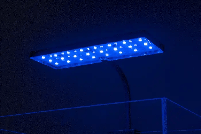 Aquarium Led Lighting Brands: Top Picks for Vibrant Aquariums