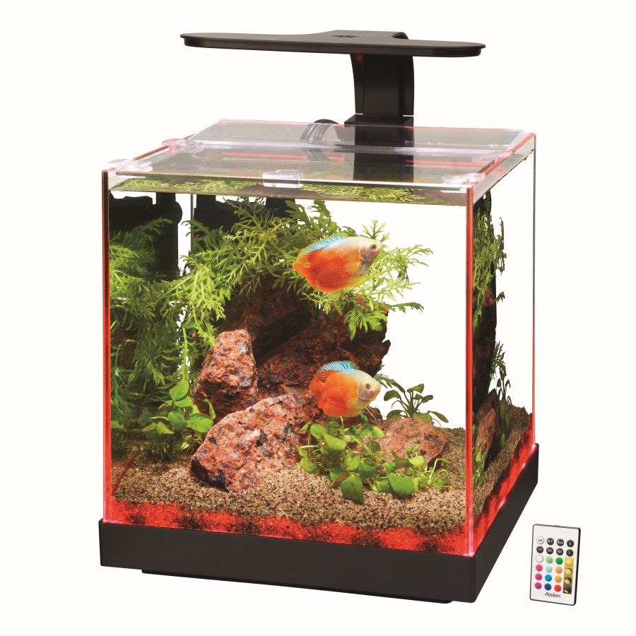 Aqueon Edgelit Cube Glass Aquarium, 3 Gallon