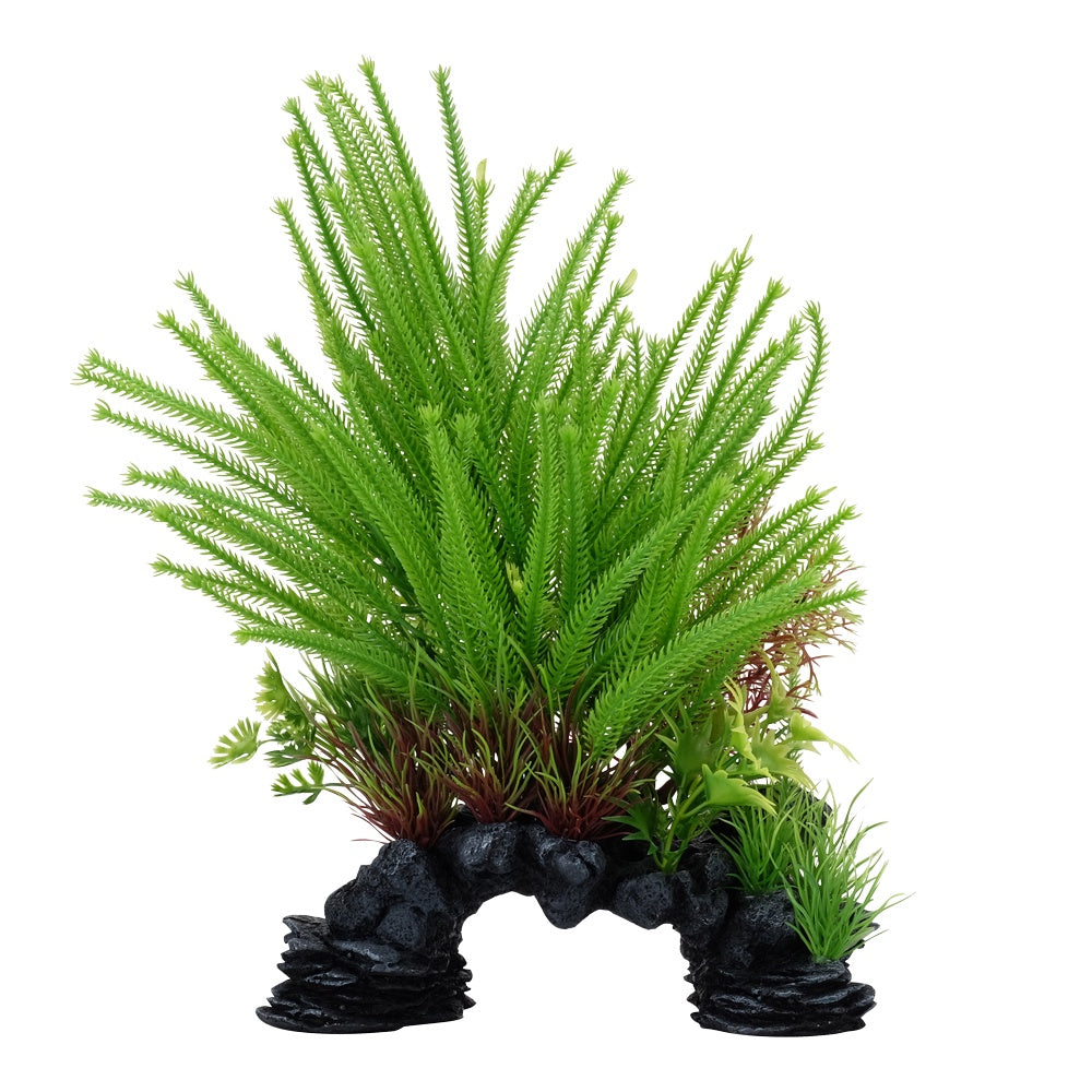 Fluval Princess Pine Plant Mix 10in – Nature Aquariums USA