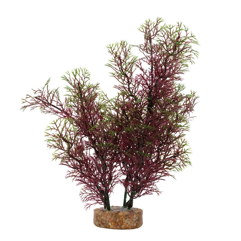 Fluval Red Green Foxtail Plant 8in – Nature Aquariums USA