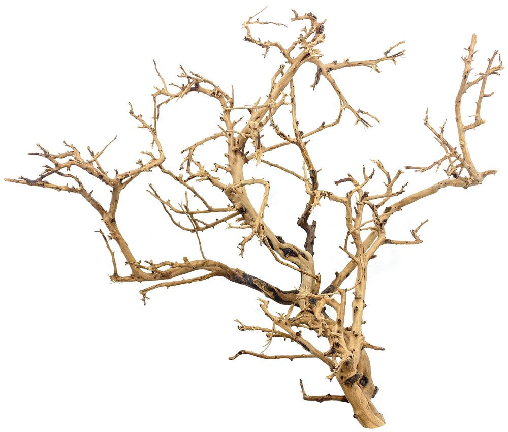 Tiny Ramous Wood 14-18” - Driftwood Branches – Nature Aquariums USA